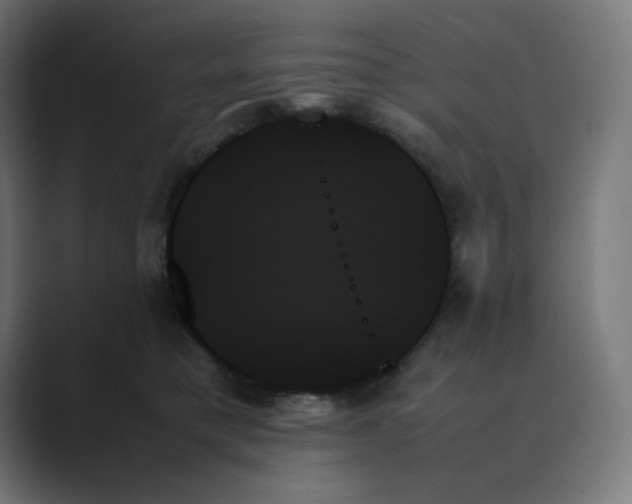 X0000089350421200706291025