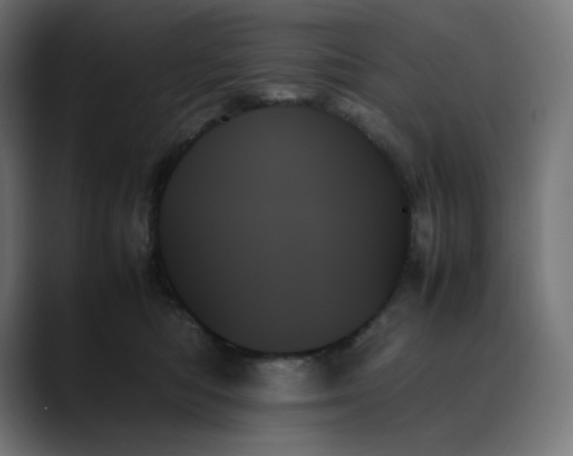 X0000089350422200706291025