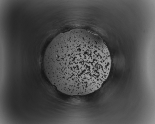 X0000089350423200706291025