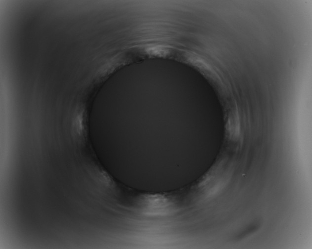 X0000089350424200706291025