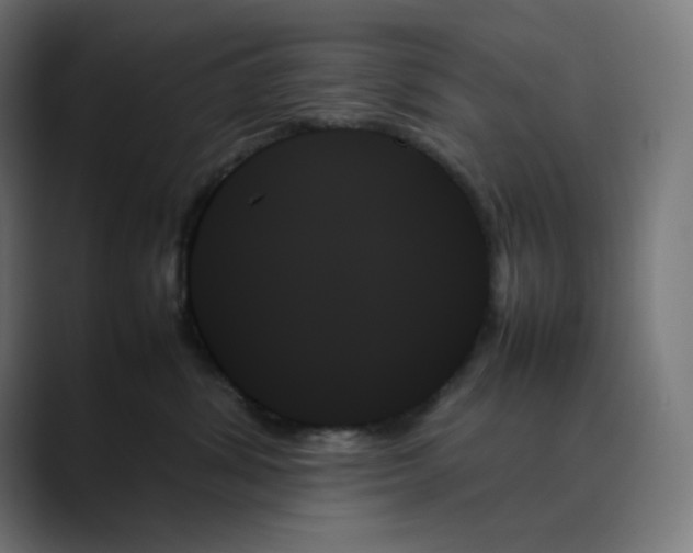 X0000089350428200706291025