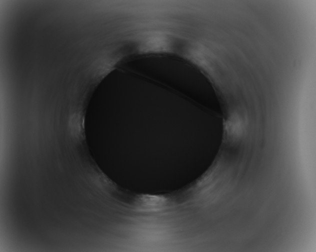 X0000089350429200706291025