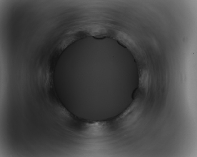 X0000089350430200706291025