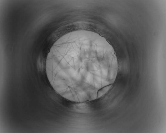 X0000089350431200706291025