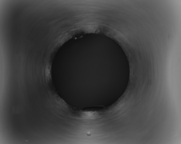 X0000089350432200706291025