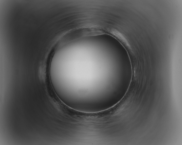 X0000089350436200706291024