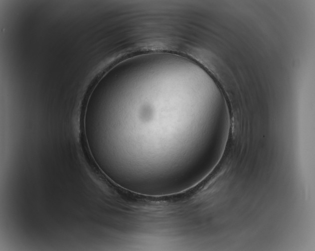 X0000089350438200706291024