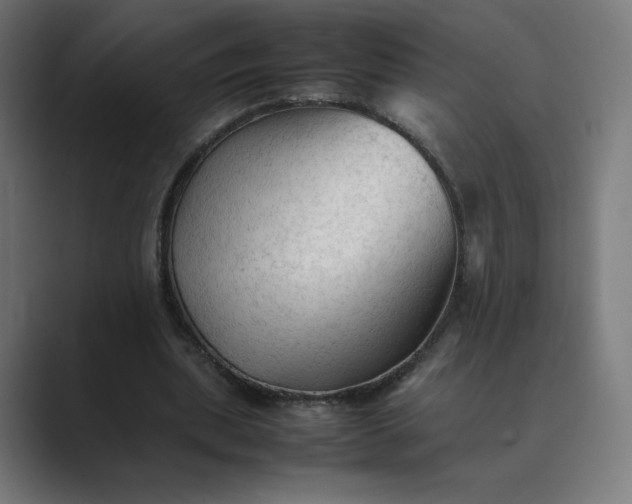 X0000089350439200706291024