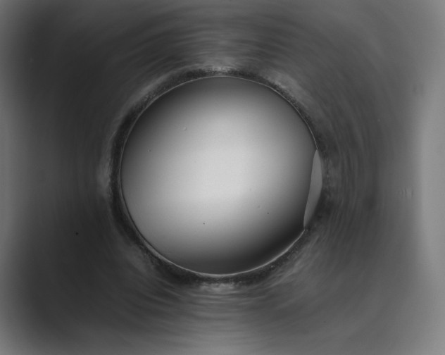 X0000089350440200706291024