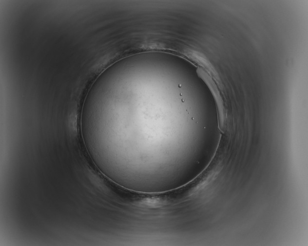 X0000089350441200706291024