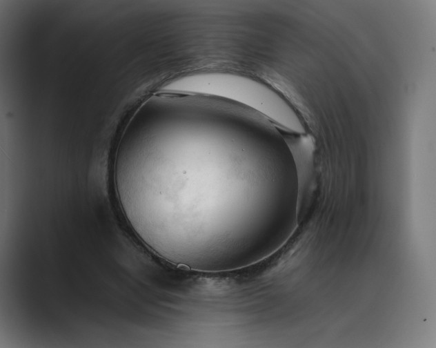 X0000089350442200706291024