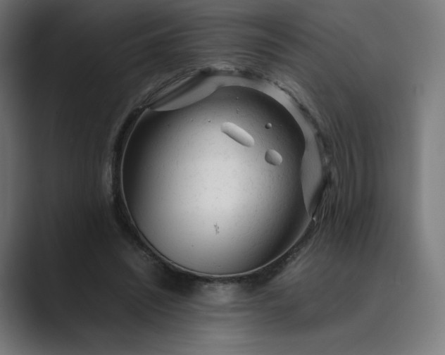 X0000089350444200706291024