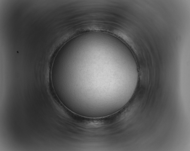 X0000089350445200706291024
