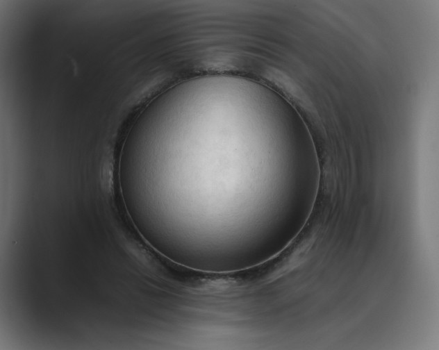 X0000089350446200706291024