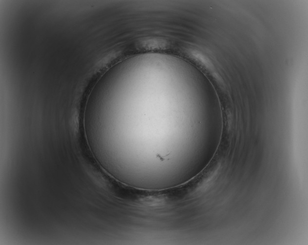 X0000089350447200706291024