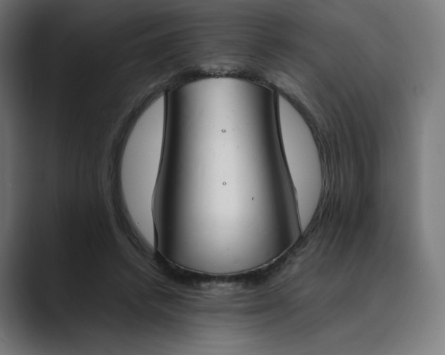X0000089350448200706291024