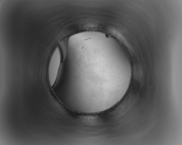 X0000089350449200706291024
