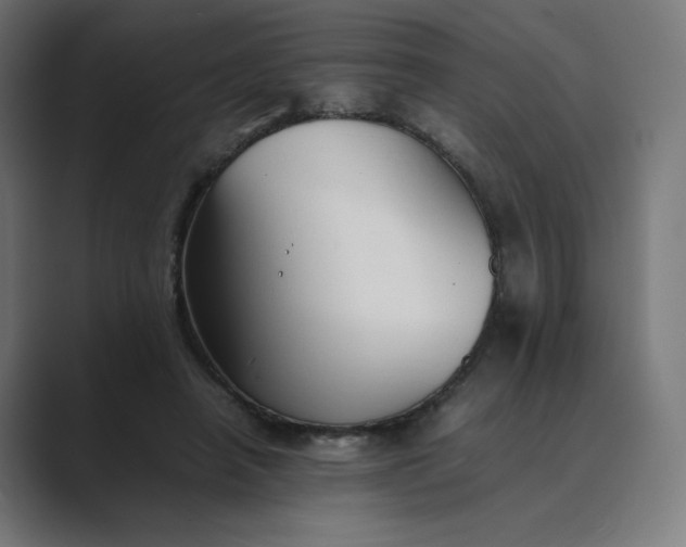 X0000089350450200706291024