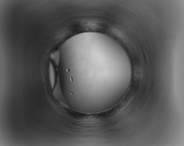 X0000089350451200706291024