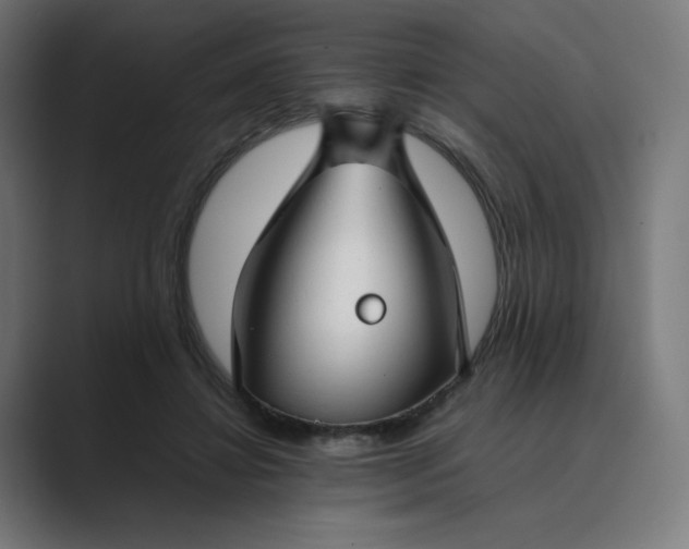 X0000089350452200706291024