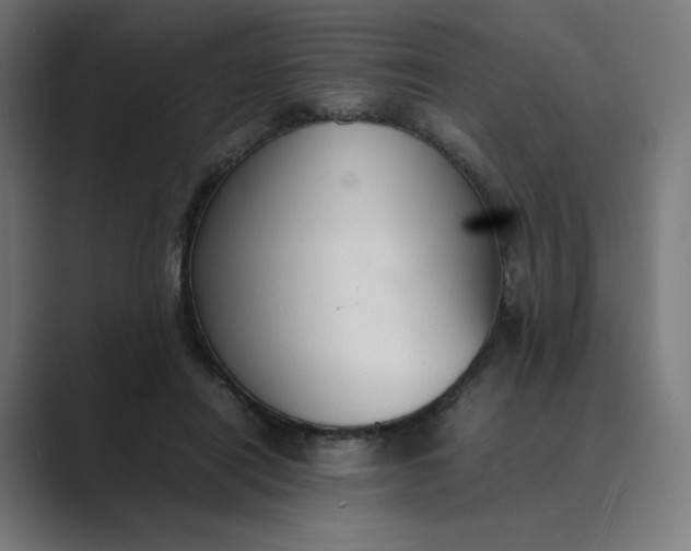 X0000089350454200706291024