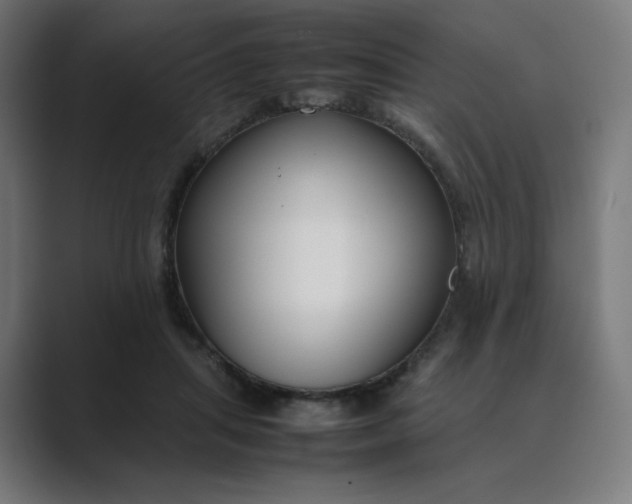 X0000089350455200706291024