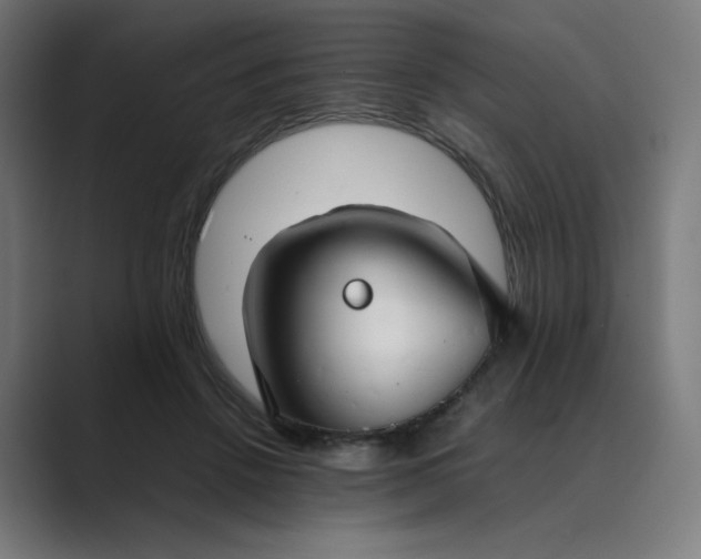 X0000089350456200706291024