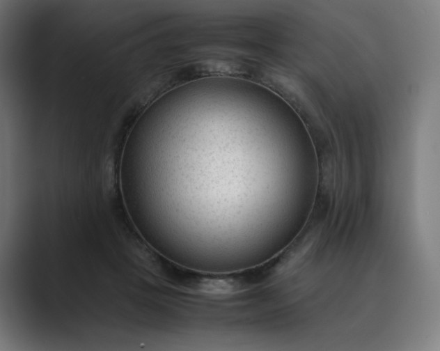 X0000089350457200706291025