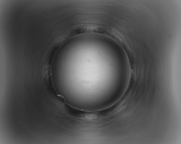 X0000089350462200706291025