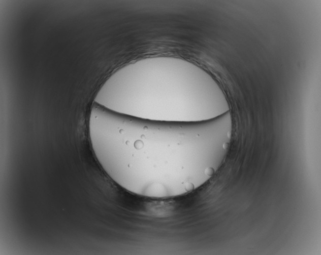 X0000089350465200706291025