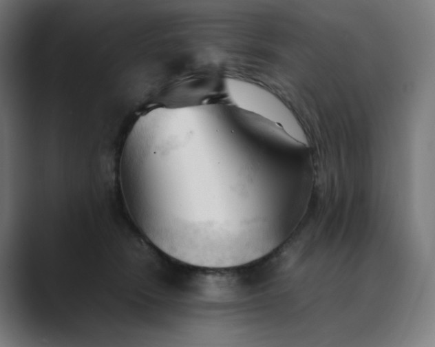 X0000089350466200706291025
