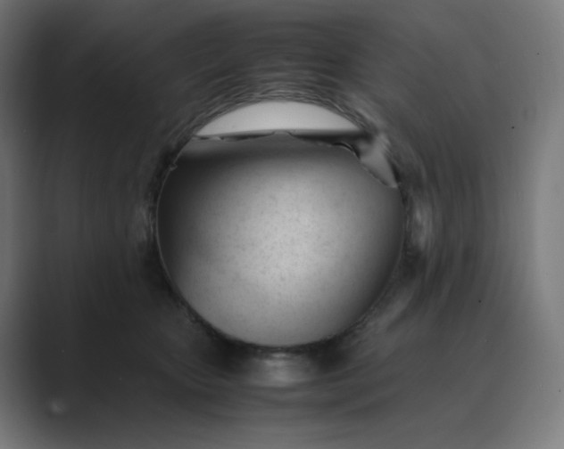 X0000089350467200706291025