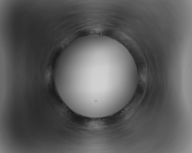 X0000089350468200706291025