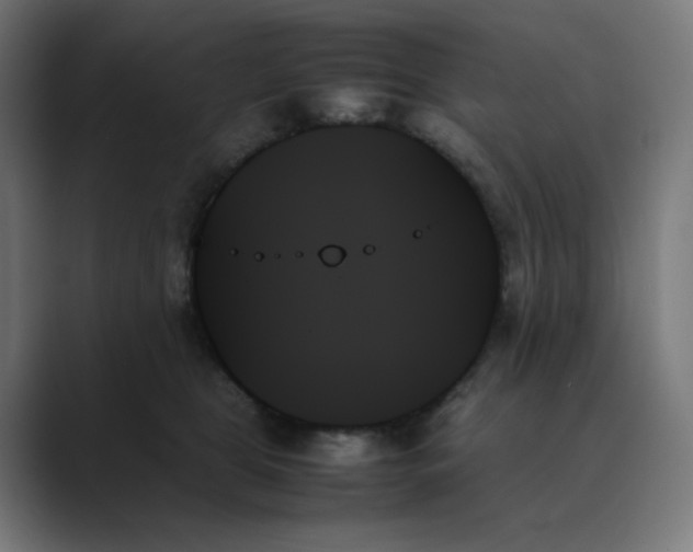 X0000089350469200706291025