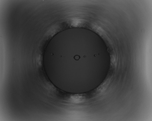 X0000089350470200706291025