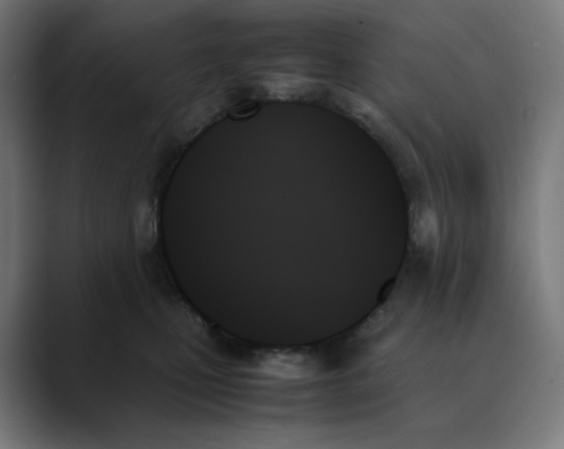 X0000089350471200706291025
