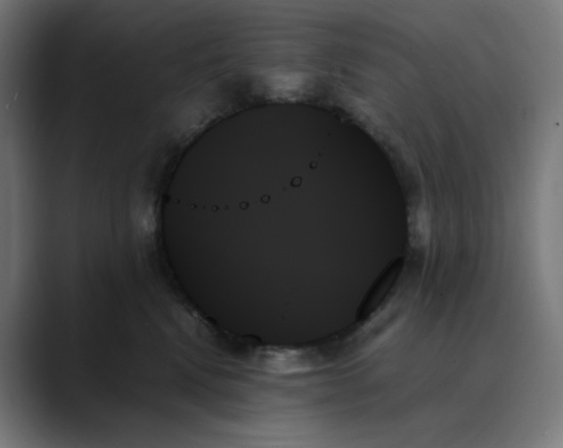 X0000089350472200706291025
