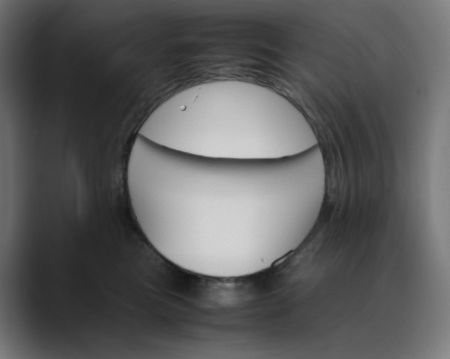 X0000089350473200706291025