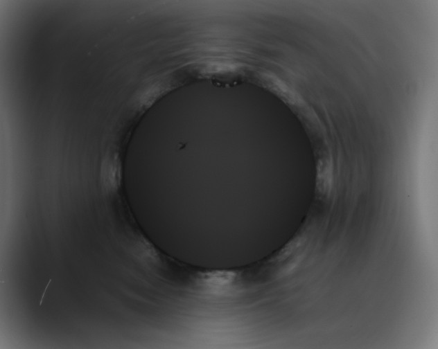 X0000089350474200706291025