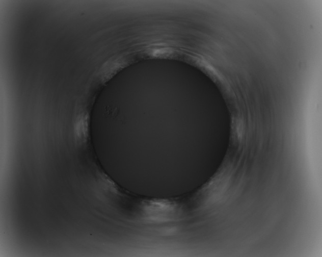 X0000089350475200706291025