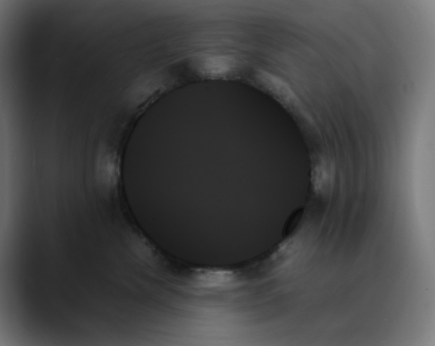 X0000089350476200706291025