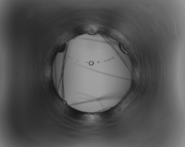 X0000089350477200706291025
