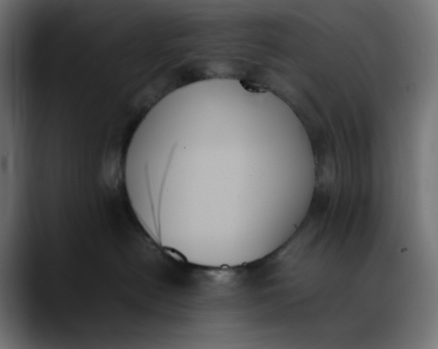 X0000089350478200706291025