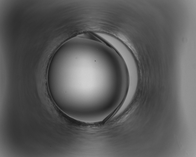 X0000089350481200706291024