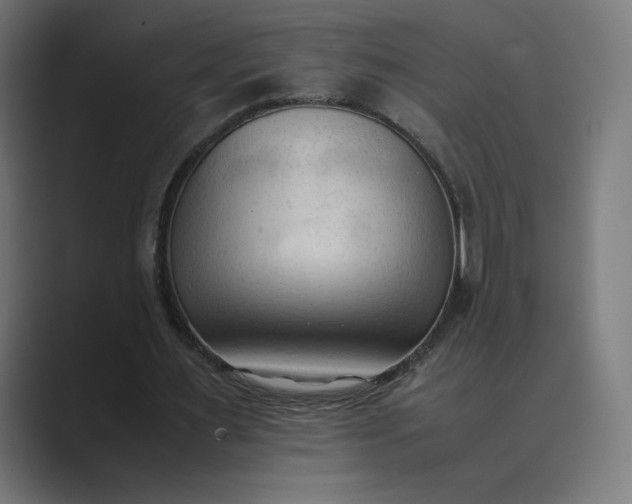 X0000089350483200706291024