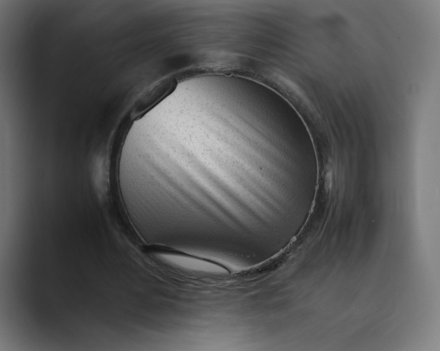 X0000089350484200706291024
