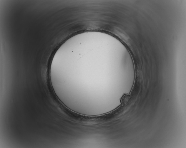 X0000089350485200706291024