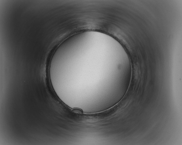 X0000089350486200706291024