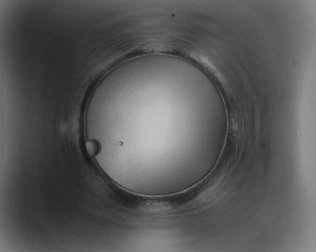 X0000089350487200706291024