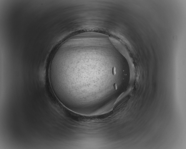 X0000089350488200706291024